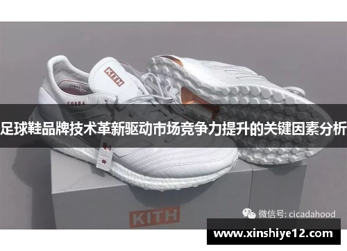 足球鞋品牌技术革新驱动市场竞争力提升的关键因素分析
