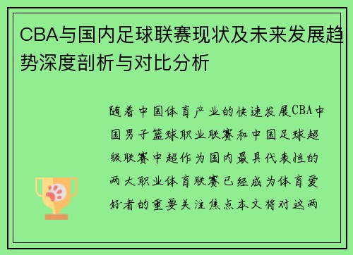 CBA与国内足球联赛现状及未来发展趋势深度剖析与对比分析