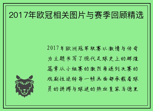 2017年欧冠相关图片与赛季回顾精选