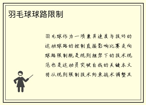 羽毛球球路限制